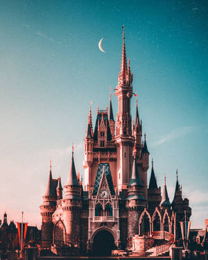 Iphone 11 Pro Max 4k Disneyland Castle Wallpaper