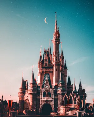 Iphone 11 Pro Max 4k Disneyland Castle Wallpaper