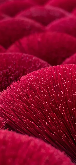 Iphone 11 Pro Red Springy Balls Wallpaper