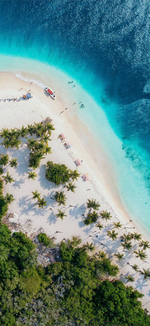 Iphone X Beach Overhead Shot Wallpaper