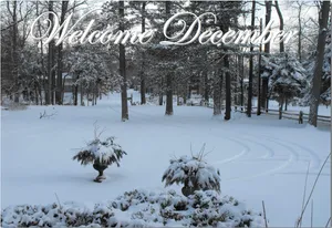 It's The Most Wonderful Time Of The Year! Wallpaper