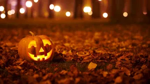 Jack O' Lantern Halloween Aesthetic Wallpaper