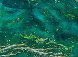 Jade Colored Water Textures Wallpaper