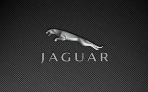 Jaguar Logo For Car Brands Wallpaper