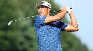 James Hahn Swinging Looking Far Wallpaper