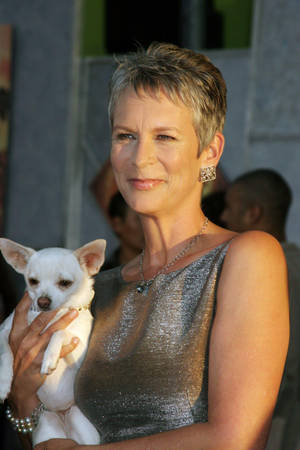 Jamie Lee Curtis With A Chihuahua Wallpaper