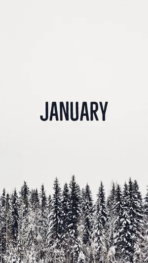 January With Monochromatic Trees Wallpaper