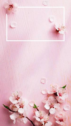 Japanes Rose Gold Aesthetic Wallpaper