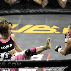 Japanese Mixed Martial Artist Megumi Fujii In Action Wallpaper