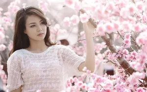 Japanese Women In Sakura Wallpaper