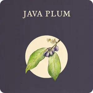 Java Plums Branch Monograph Design Wallpaper