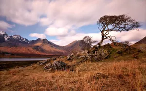 Jaw-dropping Views Of Brown Mountain Wallpaper