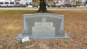 Jersey Joe Walcott's Grave Wallpaper