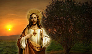 Jesus In The Garden Of Gethsemane Wallpaper