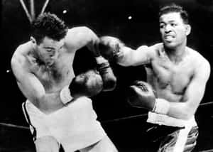 Joey Maxim Avoiding Wallpaper