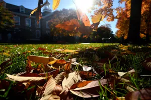Johns Hopkins University Gilman Hall Wallpaper