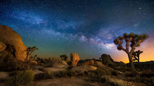 Joshua Tree National Park California Wallpaper