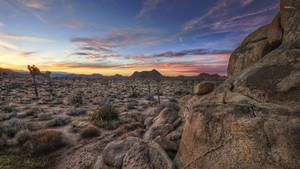 Joshua Tree National Park Rocks Sunset Wallpaper