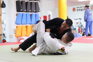 Judo Martial Arts Wallpaper