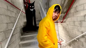 Juegagerman And Shadow Wolf Wallpaper