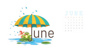 June 2021: The Perfect Way To Stay Dry In The Rain Wallpaper