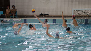 Junior Water Polo Sports Team Wallpaper