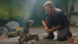 Jurassic World - Fallen Kingdom Wallpaper