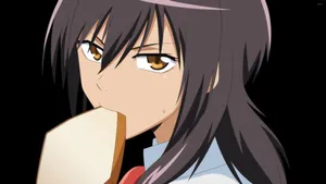 Kaichou Wa Maid Sama Snappy Misaki Wallpaper