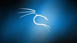 Kali Linux In Gradient Blue Wallpaper