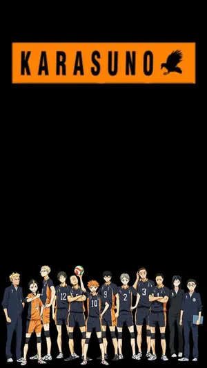 Karasuno - Karasuno Wallpaper Wallpaper