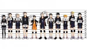 Karasuno Members With Heights Haikyuu Aesthetic Wallpaper