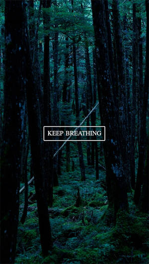 Keep Breathing Dark Trees Wallpaper