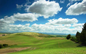 Keep It Fresh With Windows Xp Wallpaper