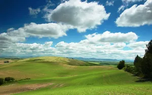 Keep It Fresh With Windows Xp Wallpaper