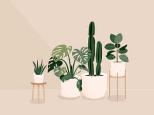 Keep Your Desktop Both Beautiful And Practical With An Aesthetic Plant Background. Wallpaper