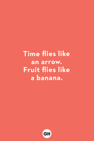 Keeping Your Space Tidy And Funny Is Easy! Wallpaper