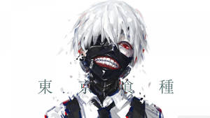Ken Kaneki - The One-eyed Ghoul Of Tokyo Ghoul Wallpaper