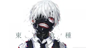 Ken Kaneki - The One-eyed Ghoul Of Tokyo Ghoul Wallpaper