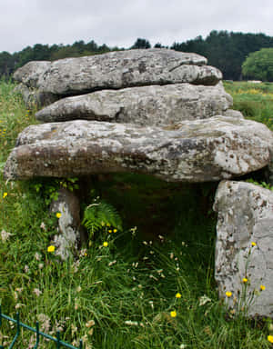 Kermario Dolmen Carnac Stones Burial Chamber Wallpaper