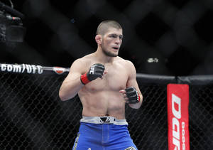 Khabib Nurmagomedov Ufc Fighting Wallpaper