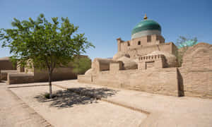 Khiva Single Tree Wallpaper