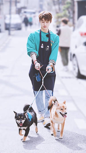 Kim Hanbin Dog Sitting Wallpaper