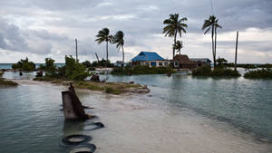 Kiribati Golden Beach Wallpaper