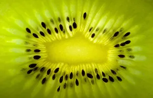 Kiwi Core Macro Wallpaper