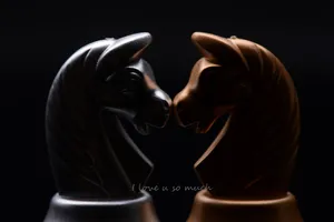 Knight Chess Pieces Wallpaper