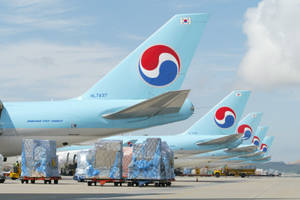 Korean Air Airlines Logo Wallpaper