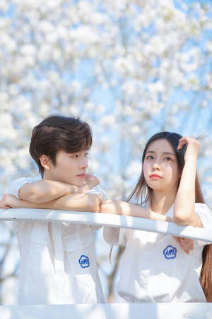 Korean Couple On The Terrace Wallpaper