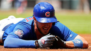 Kris Bryant On The Ground Wallpaper