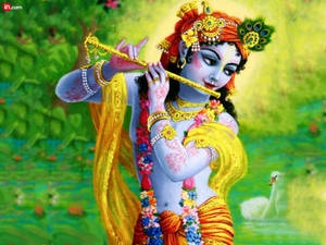 Krishna 3d Swan Green Background Wallpaper