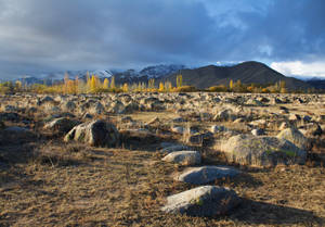 Kyrgyzstan Rocky Shrubland Wallpaper